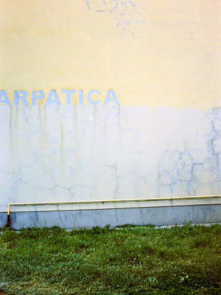 Fine art picture showing a wall with carpatica written on it