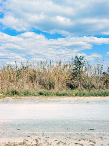 Fine art picture showing an obscure landscape from the edge of a street