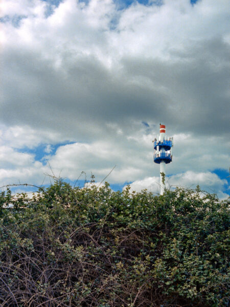 Fine art picture showing a tower in a landscape that is obscured by brambles