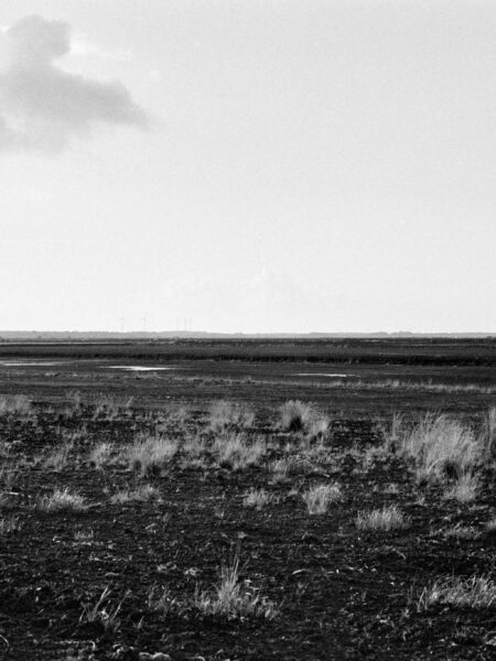Fine art picture showing a exploited peatland in black and white