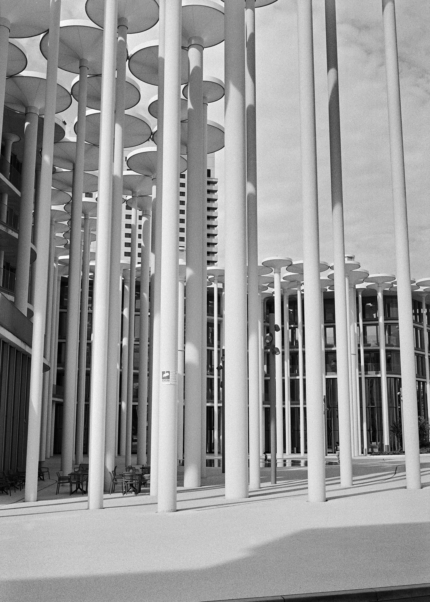 Fine art picture showing architectural poles in black and white