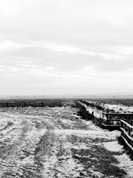 Fine art picture showing a winterly pasture that was a peatland some time ago